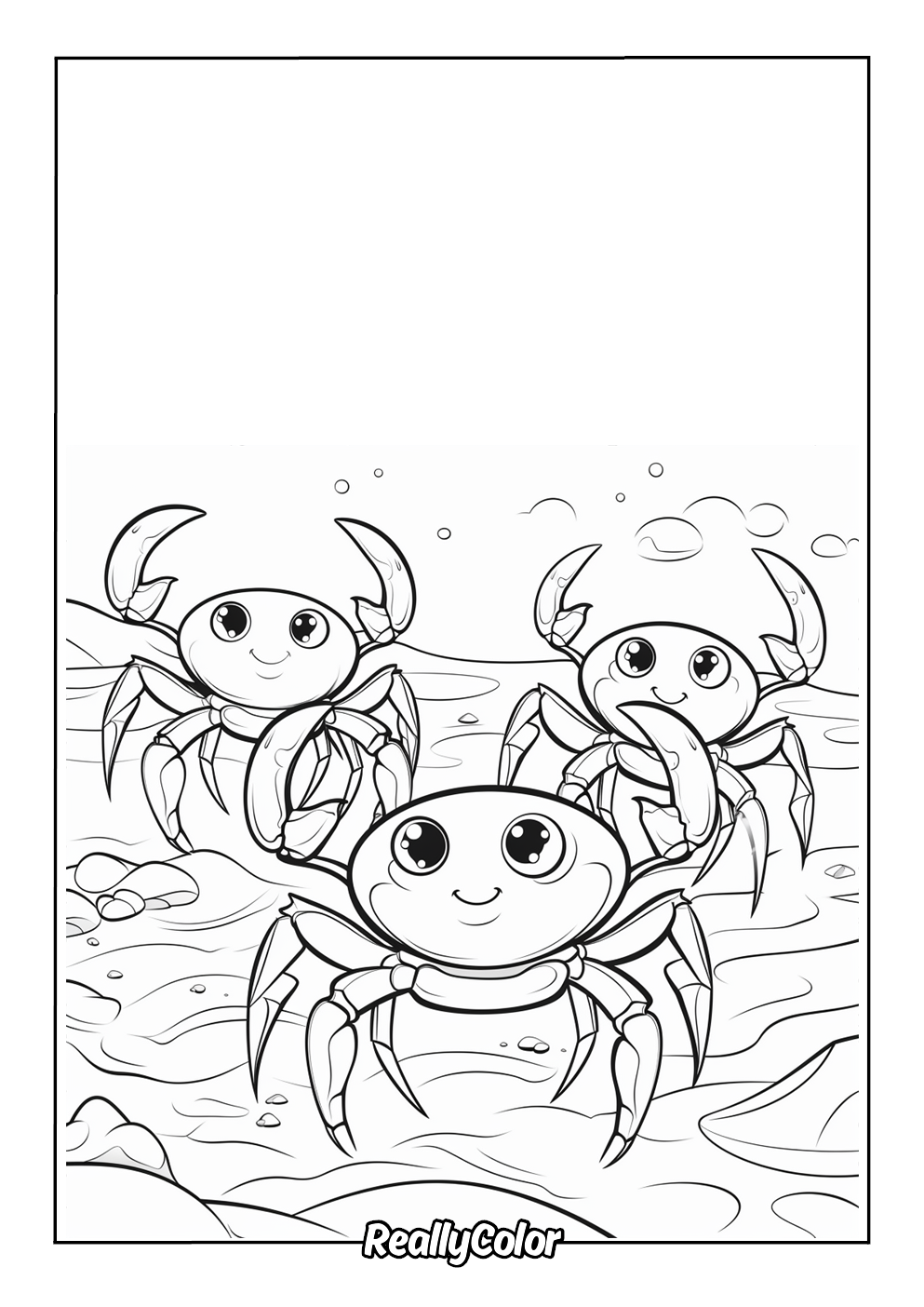 3 cute crabs on the bottom