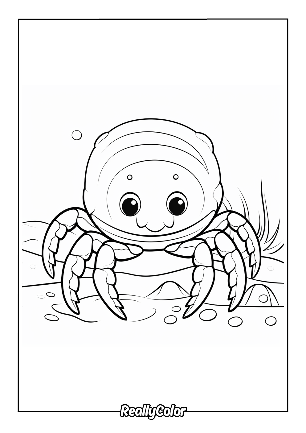 Adorable marine crab