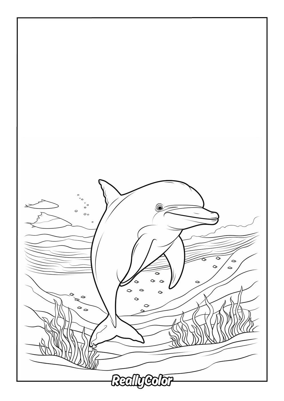 Adult coloring page dolphin