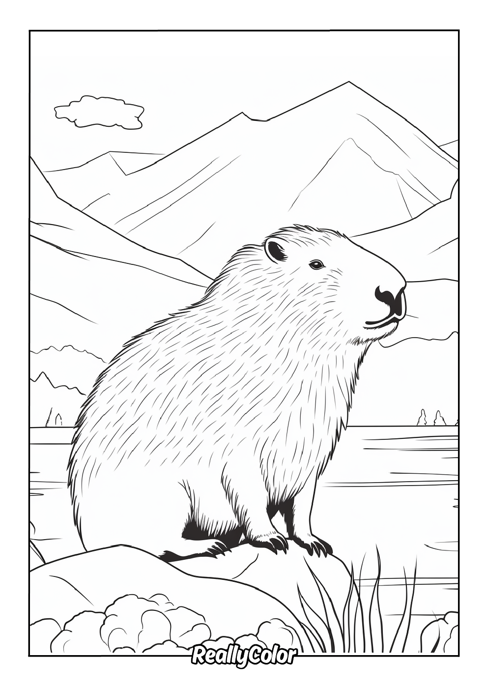Adults coloring page of a capybara