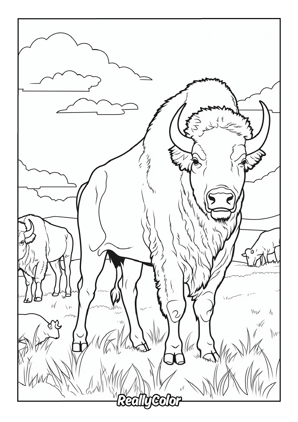 Adults coloring page of buffaloes in the savanna