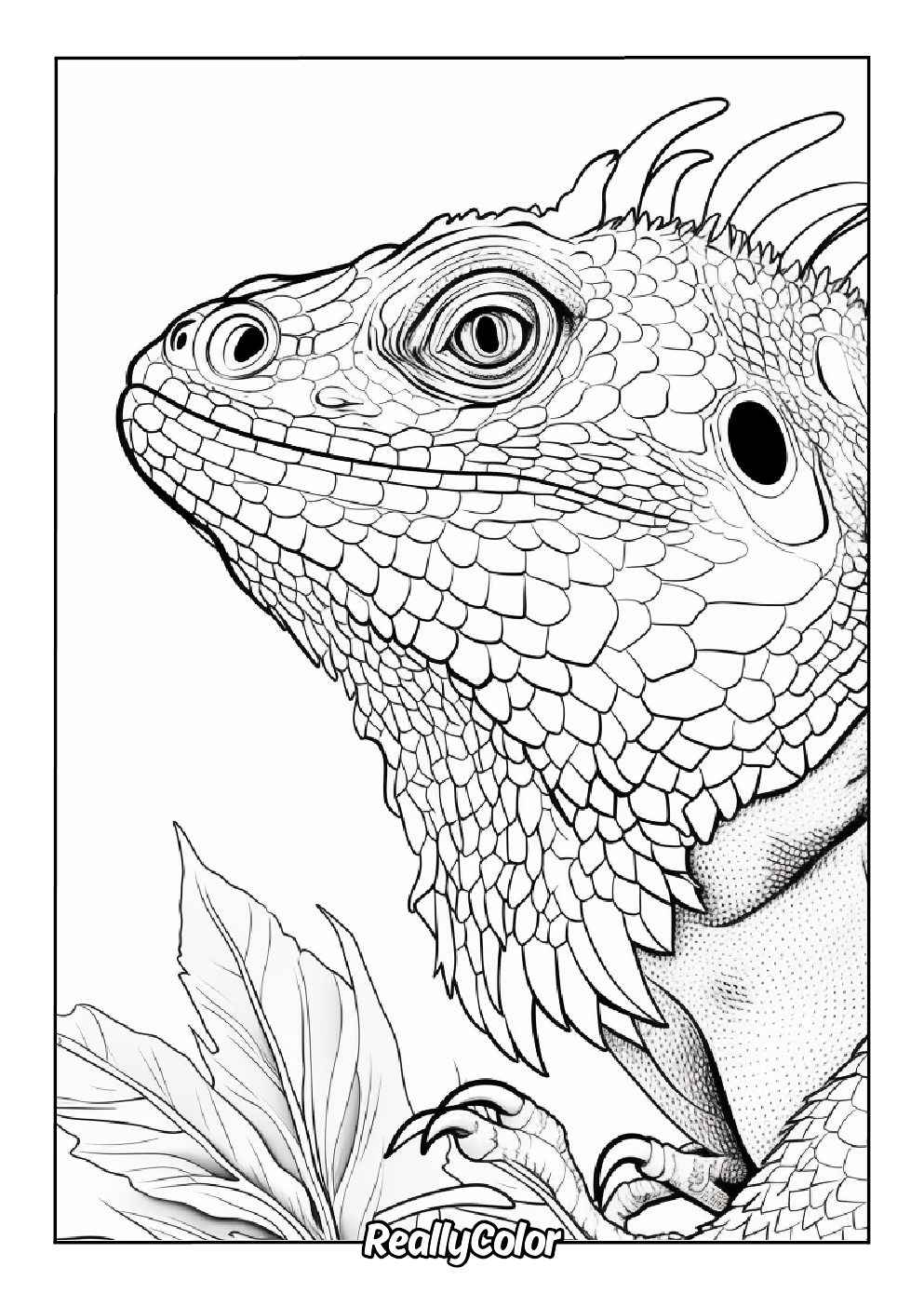 Amazing coloring page of a bearded dragon