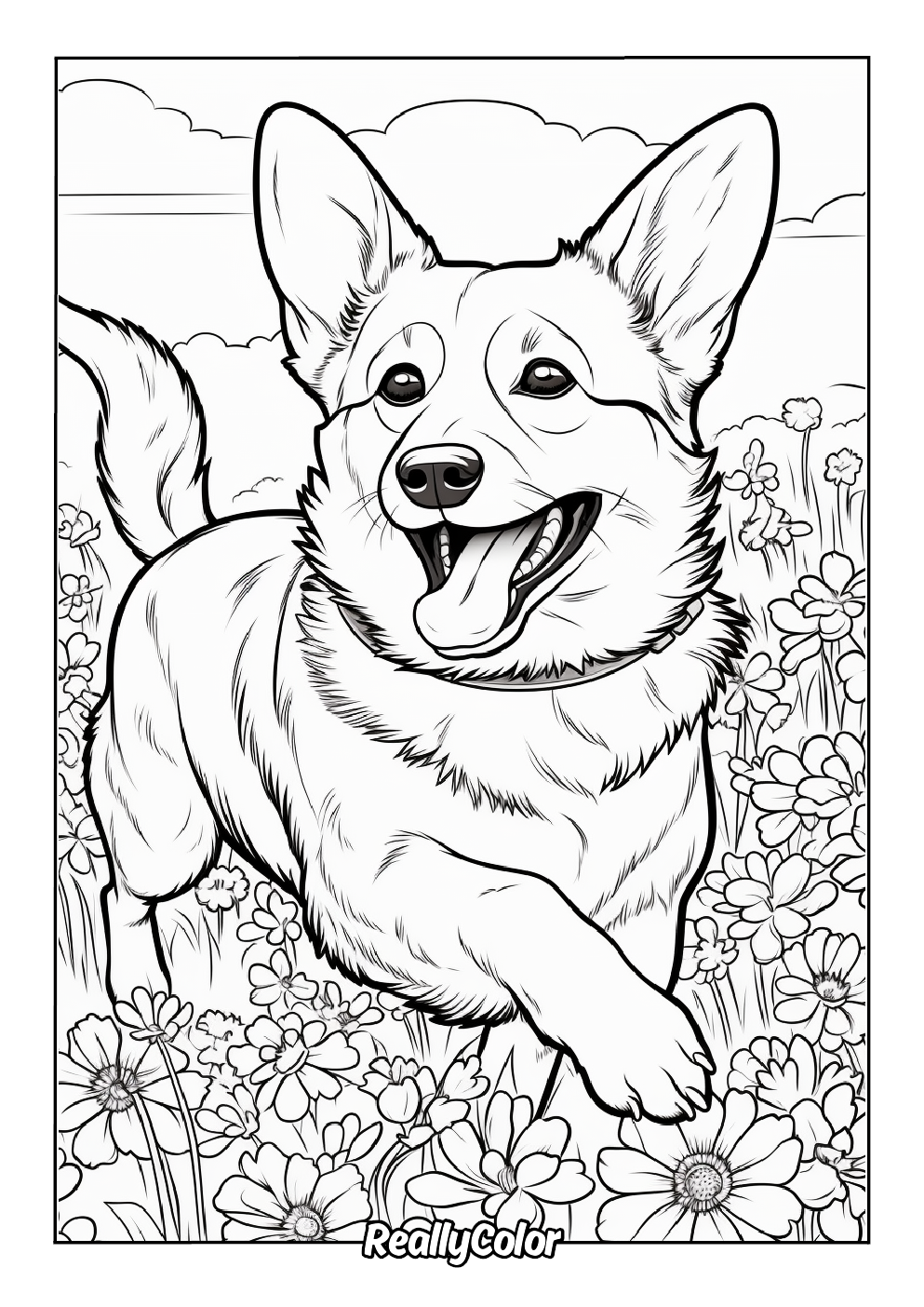 Amazing coloring page of a corgi running within the flowers