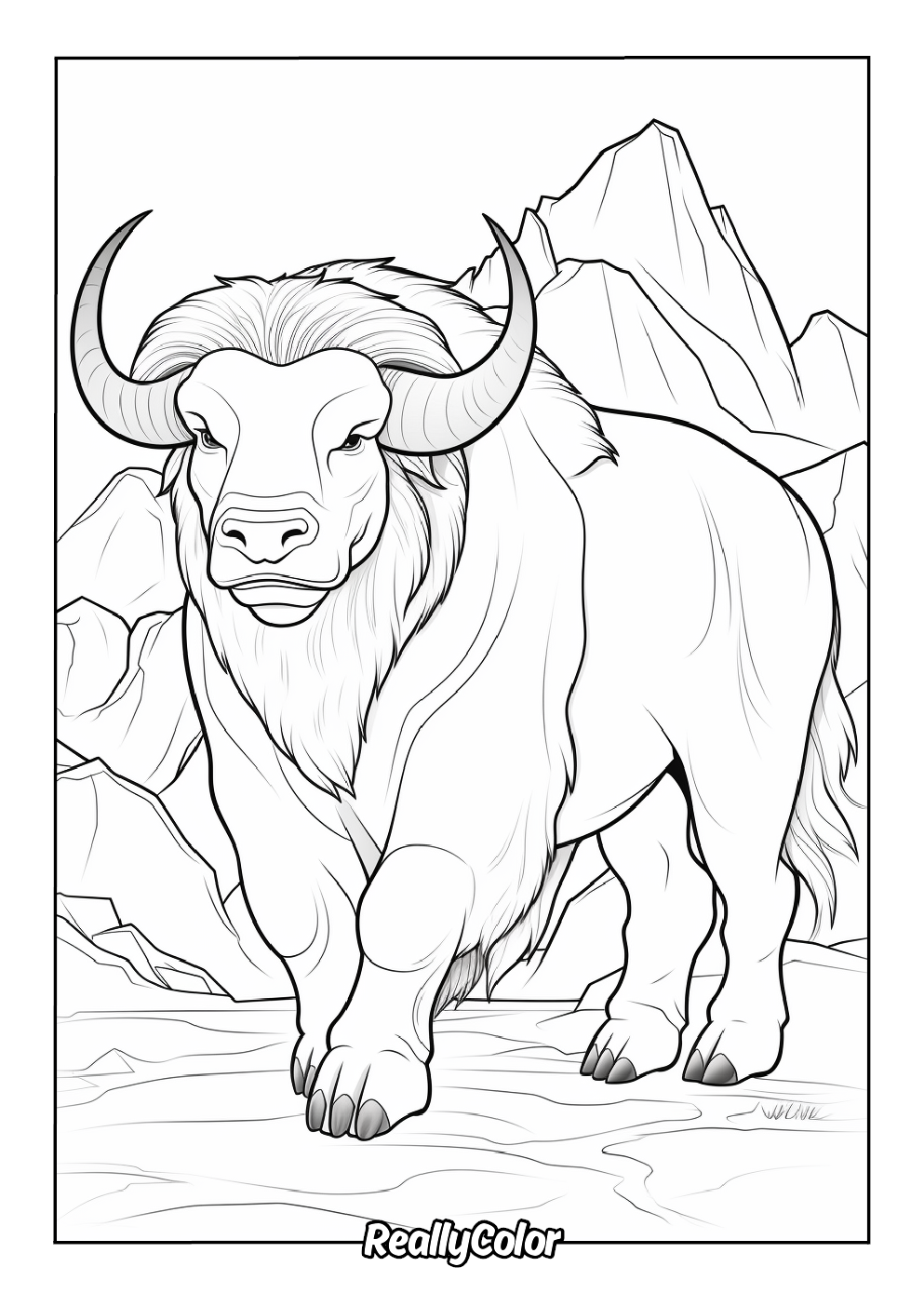 Angry buffalo