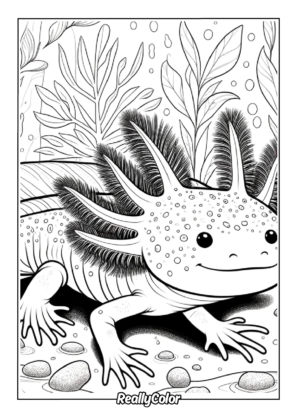 Animal axolotl coloring page