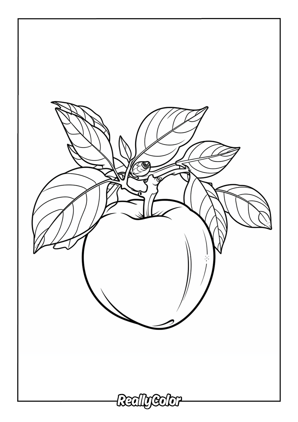 Apple fruit coloring page
