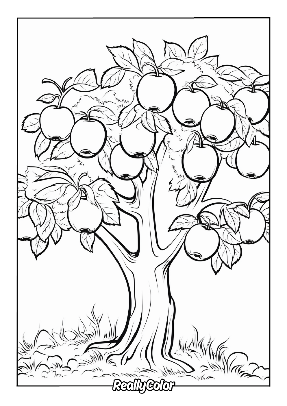 Apple tree coloring page