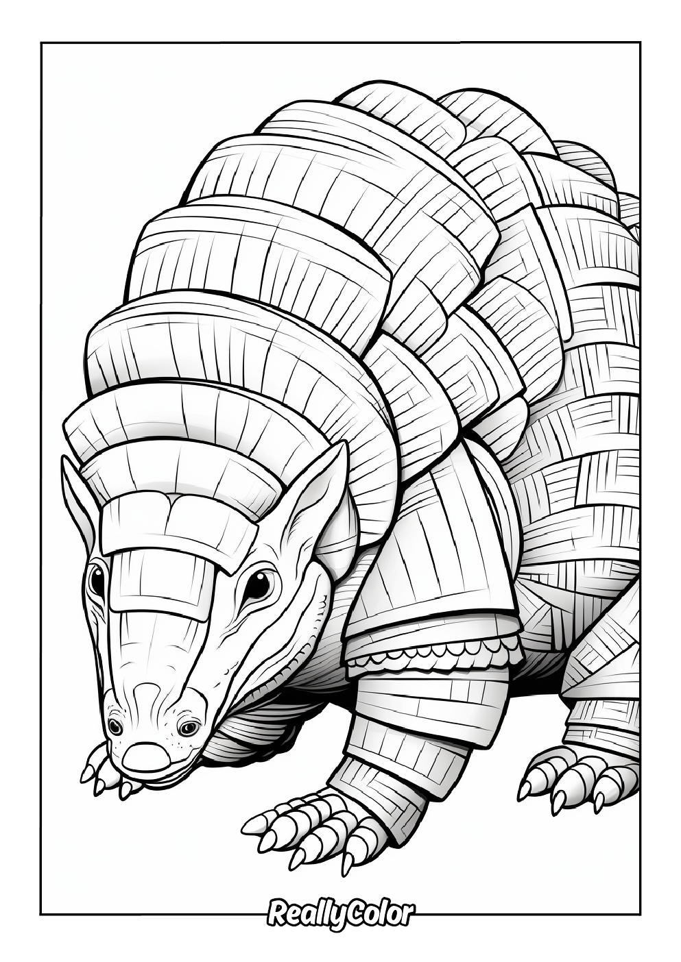 Armored armadillo color page