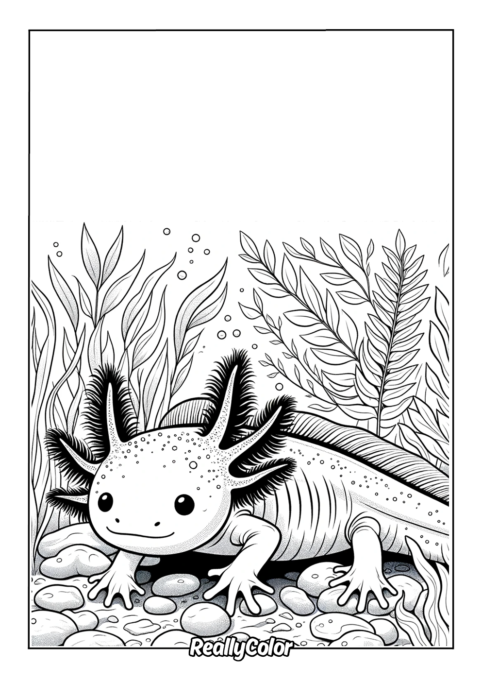 Axolotl coloring page printable free