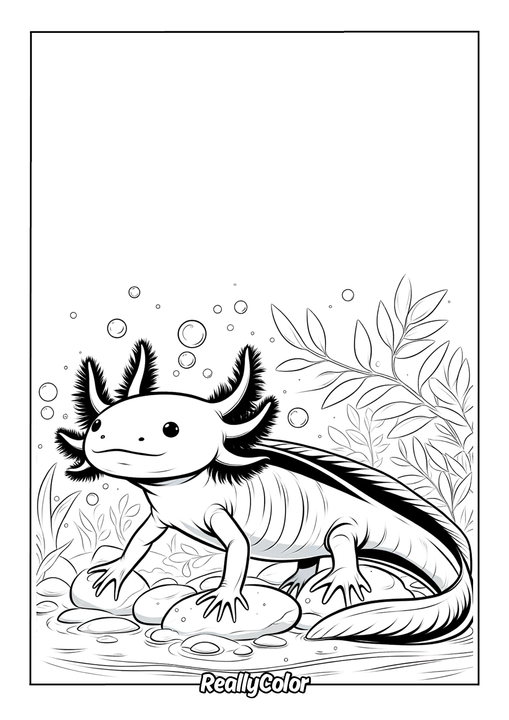 Axolotl coloring page printable