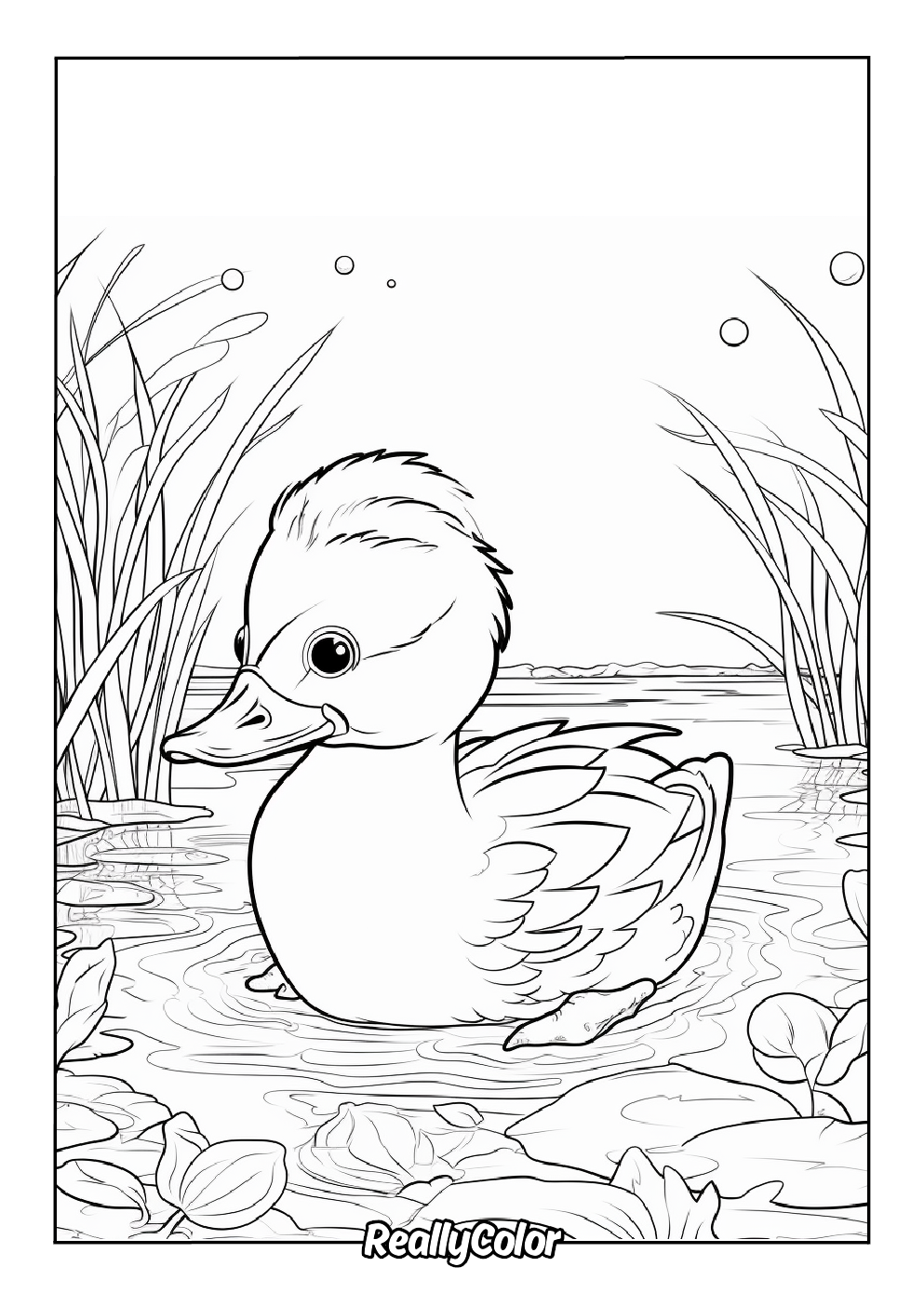 Baby duck coloring page