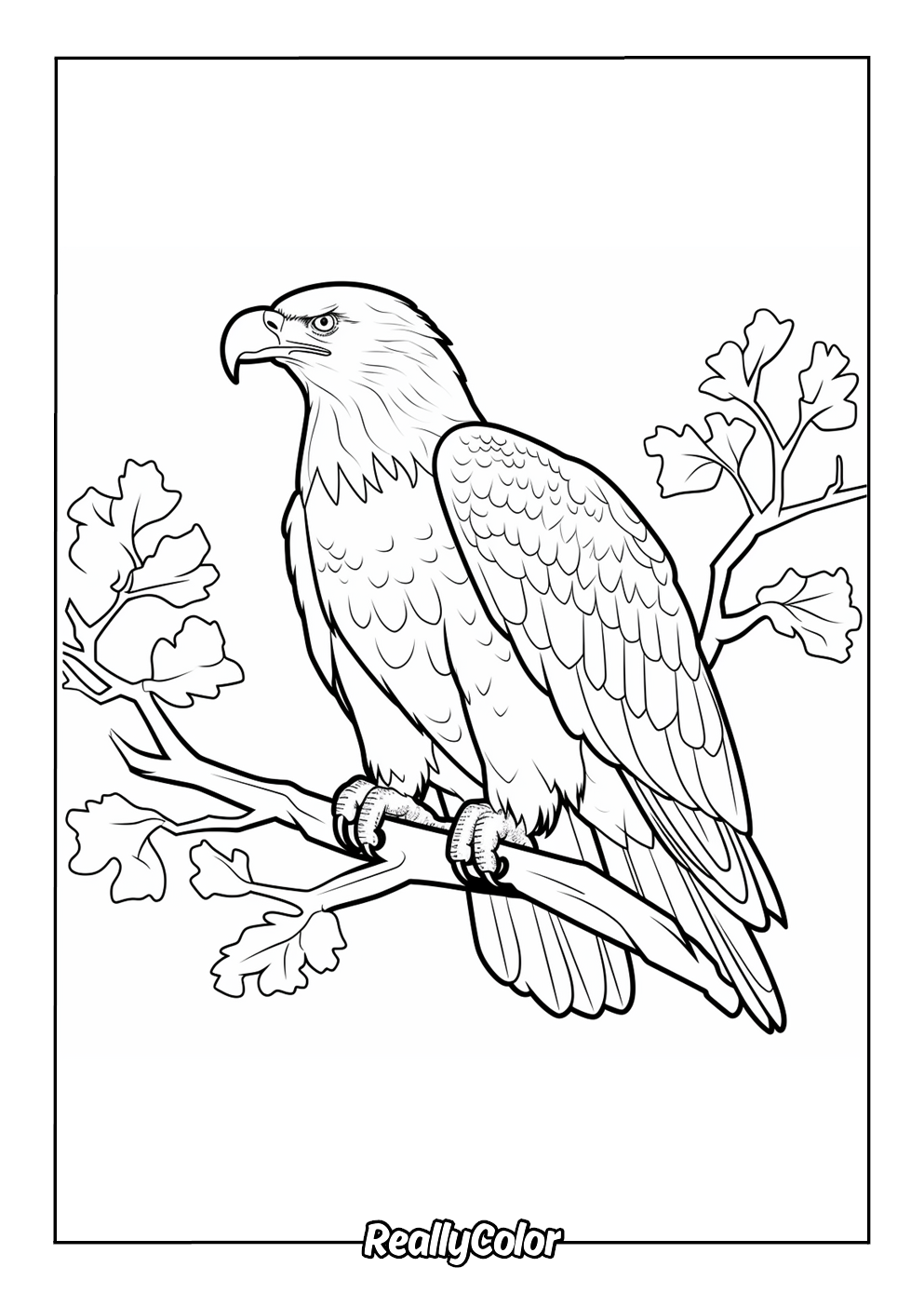 Bald eagle coloring page printable