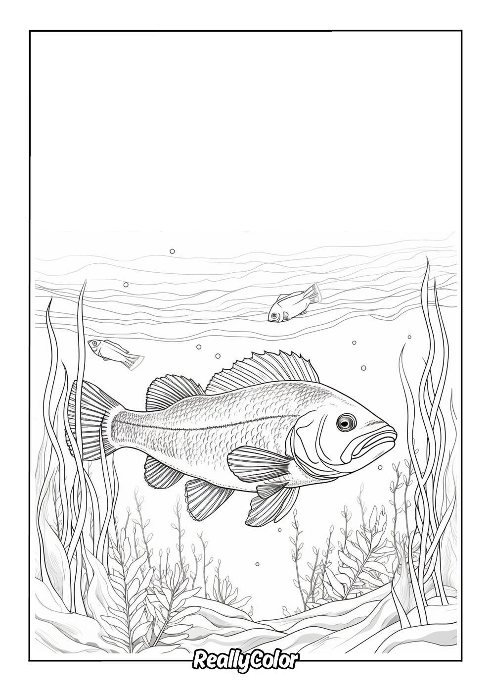 Bass fish coloring page for adults