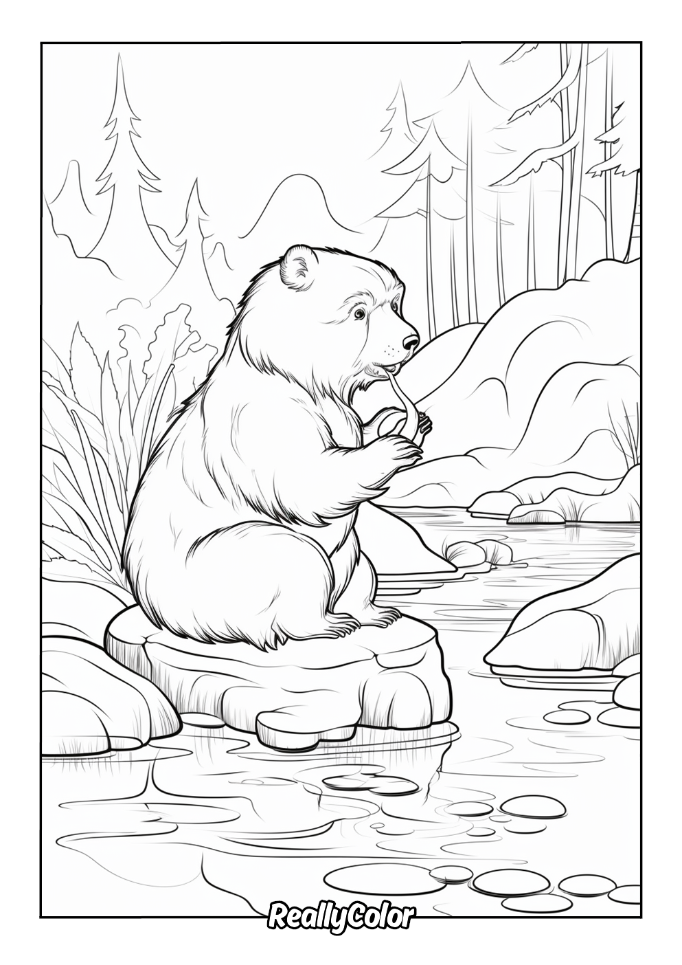 Bear catching fishes in the river