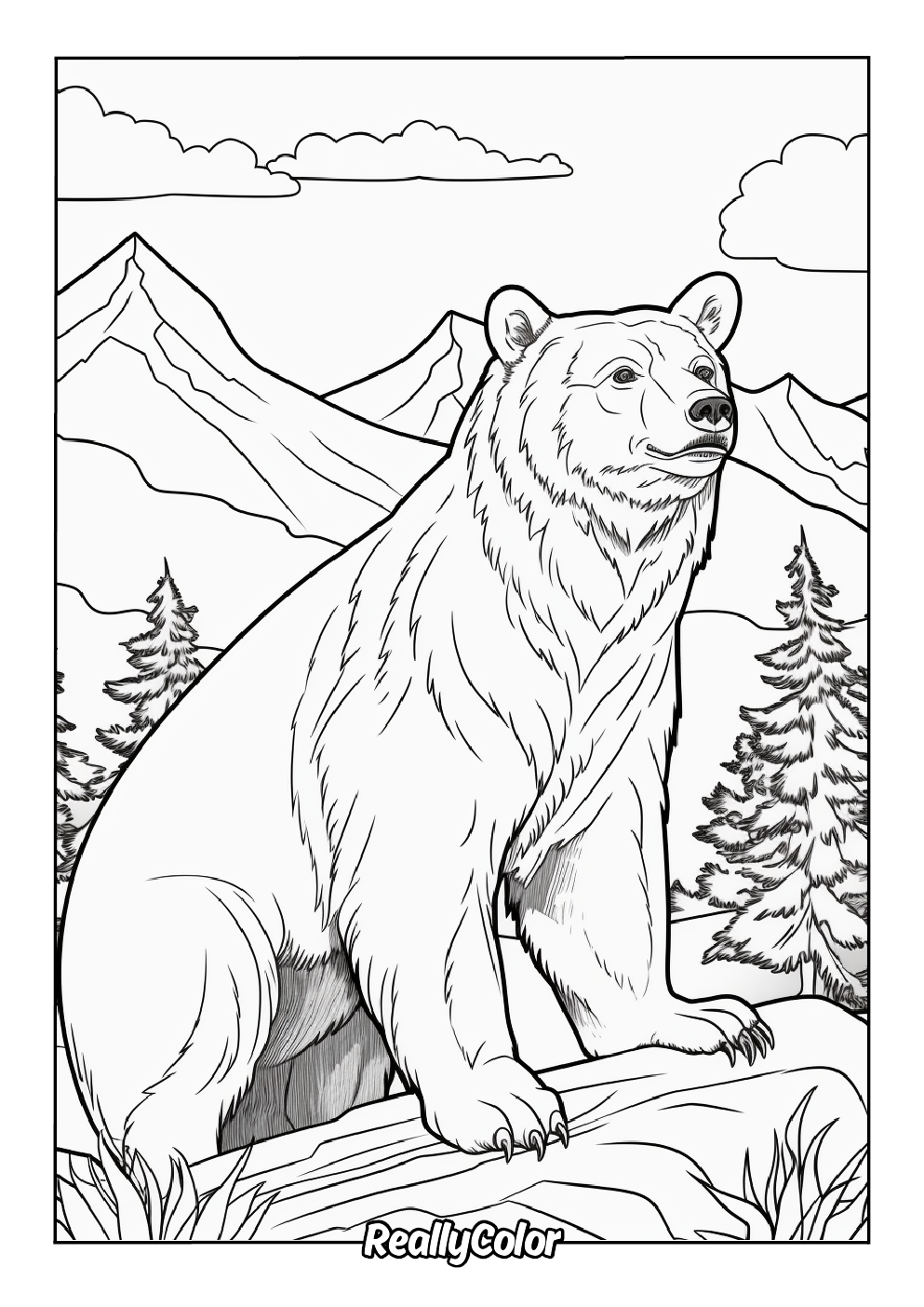 Bear coloring picture