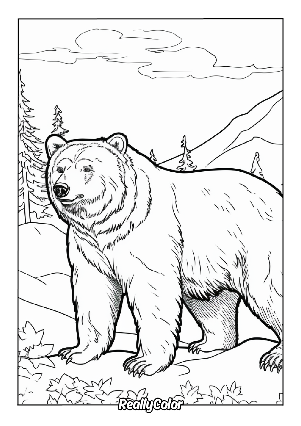 Bear picture to color