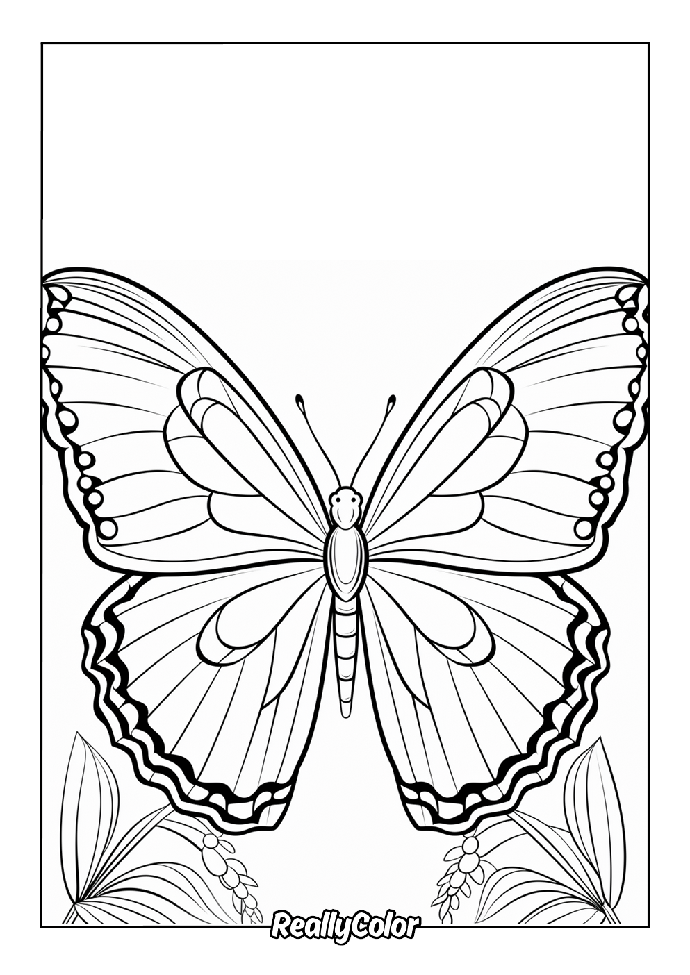 Beautiful butterfly color page