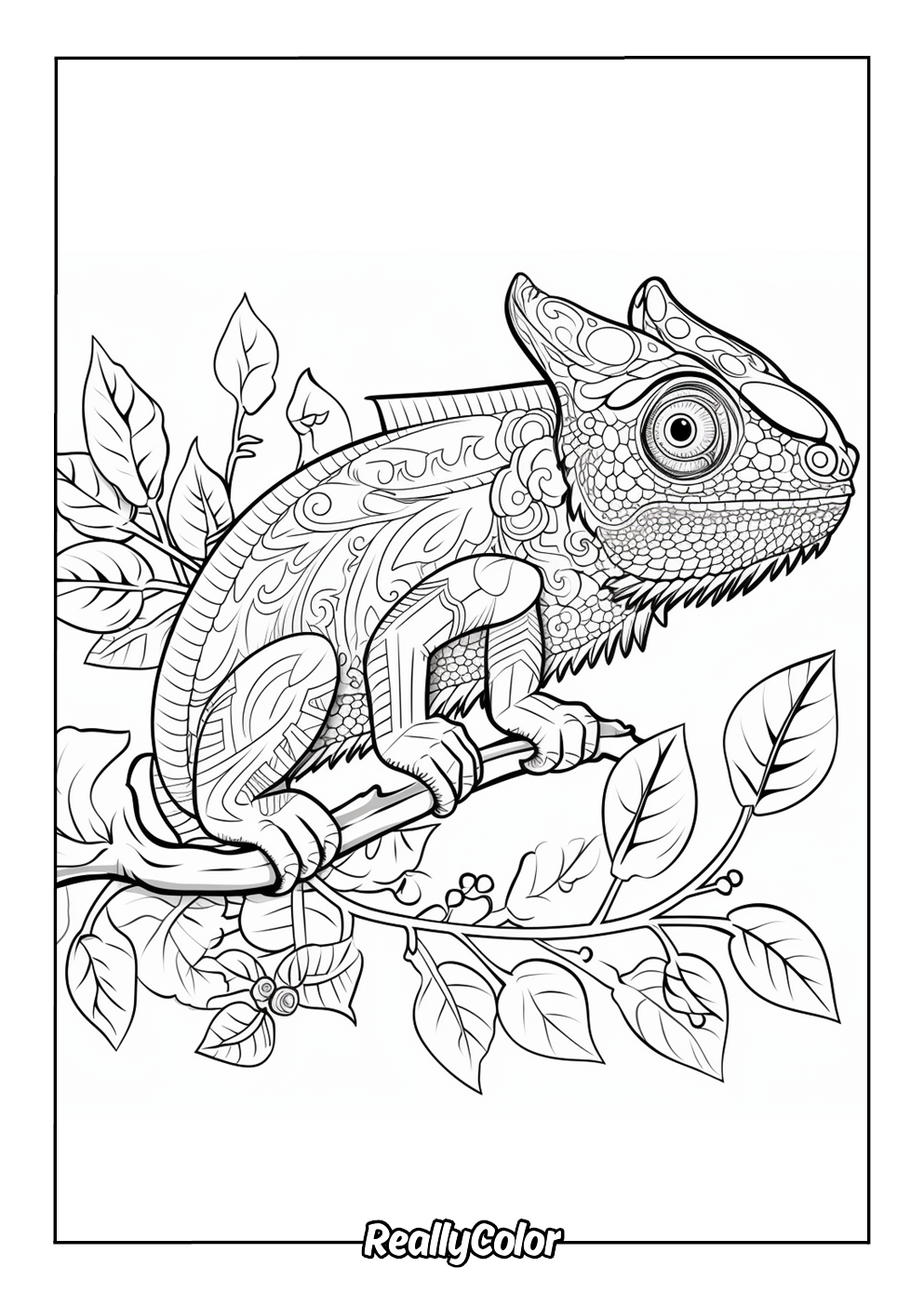 Beautiful chameleon for coloring