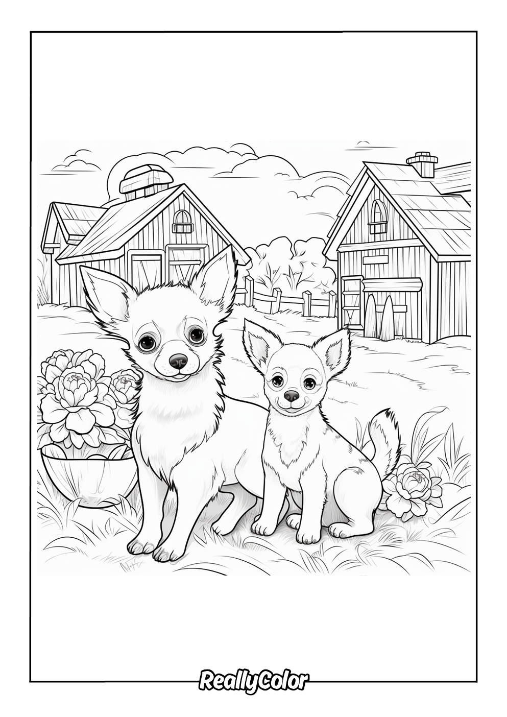Beautiful chihuahua coloring page