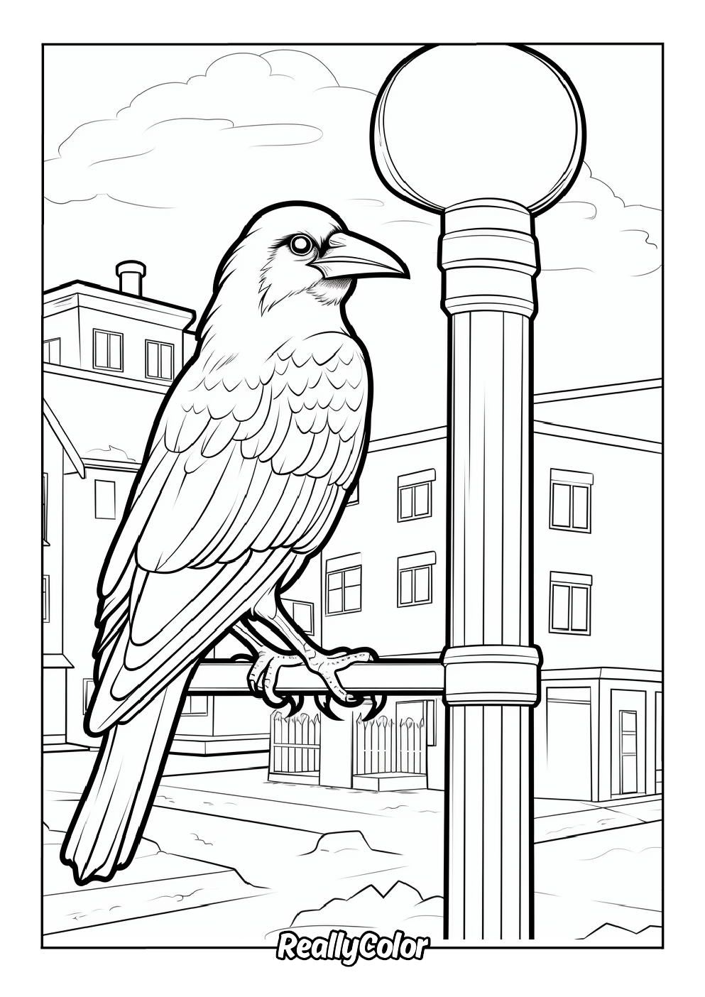 Beautiful coloring page of a crow in the city
