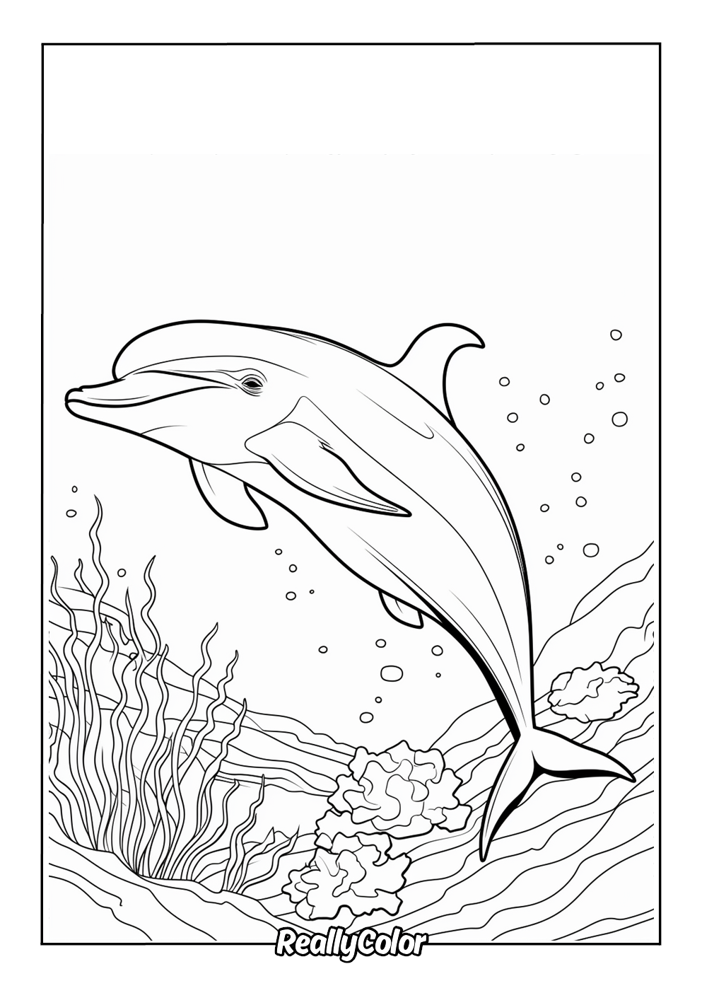 Beautiful coloring page of a realistic dolphin