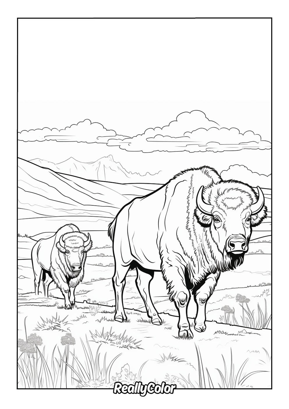 Beautiful coloring page of buffaloes