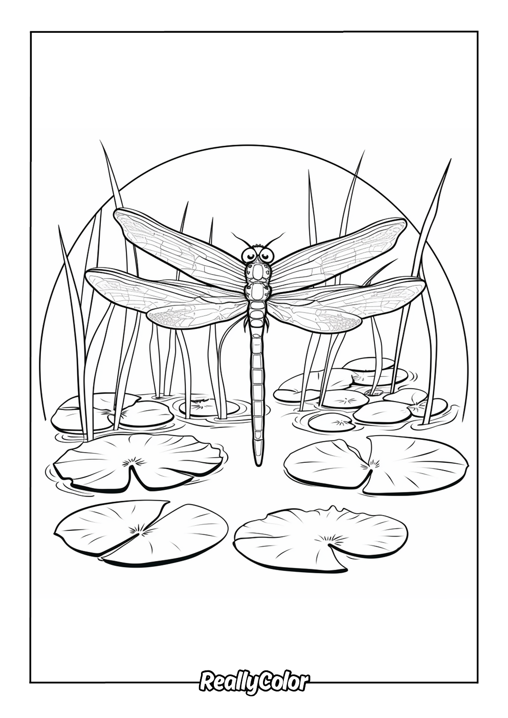 Beautiful dragon fly coloring page