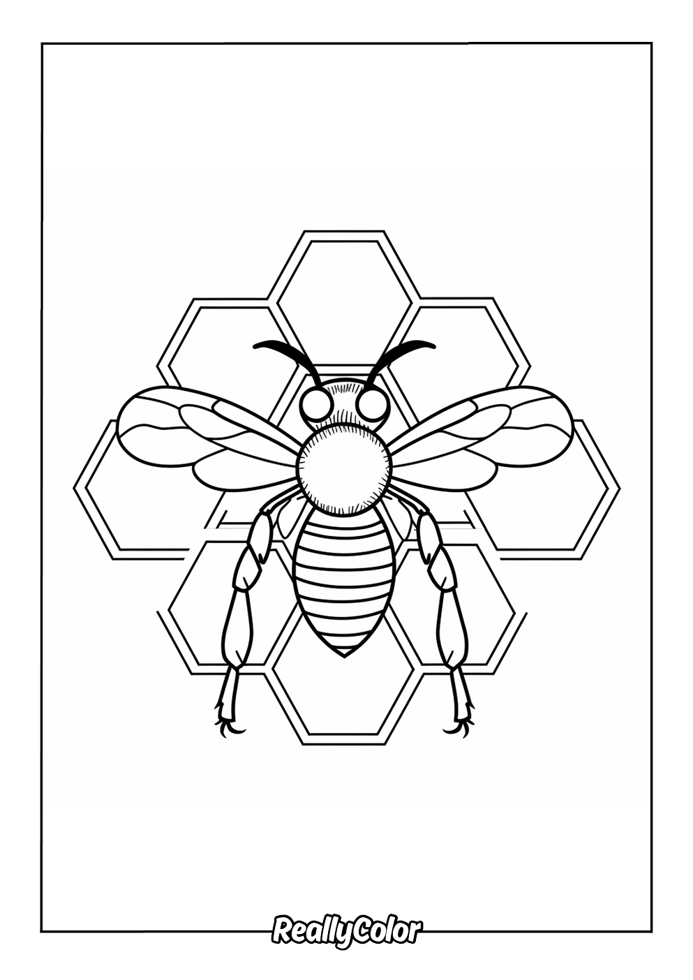 Bee hive coloring page