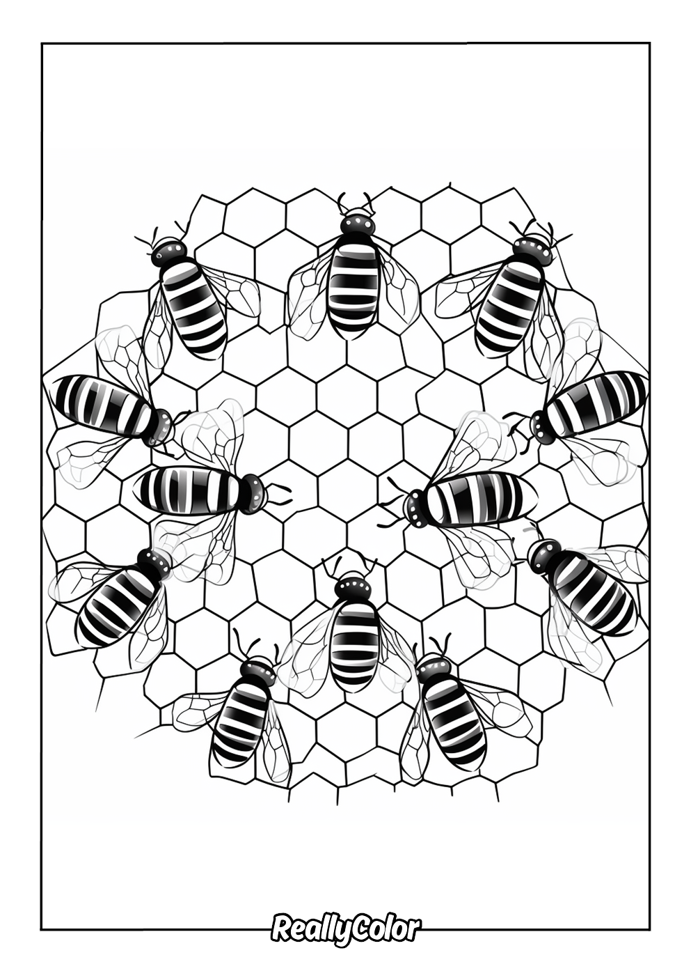 Bees on a honeycomb color page