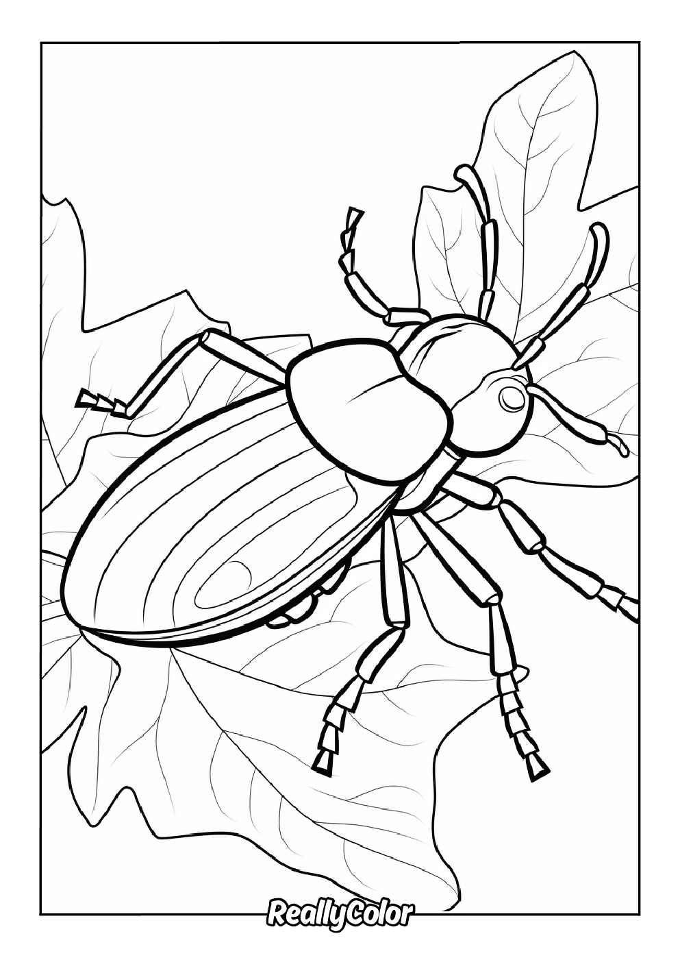 Beetle coloring page