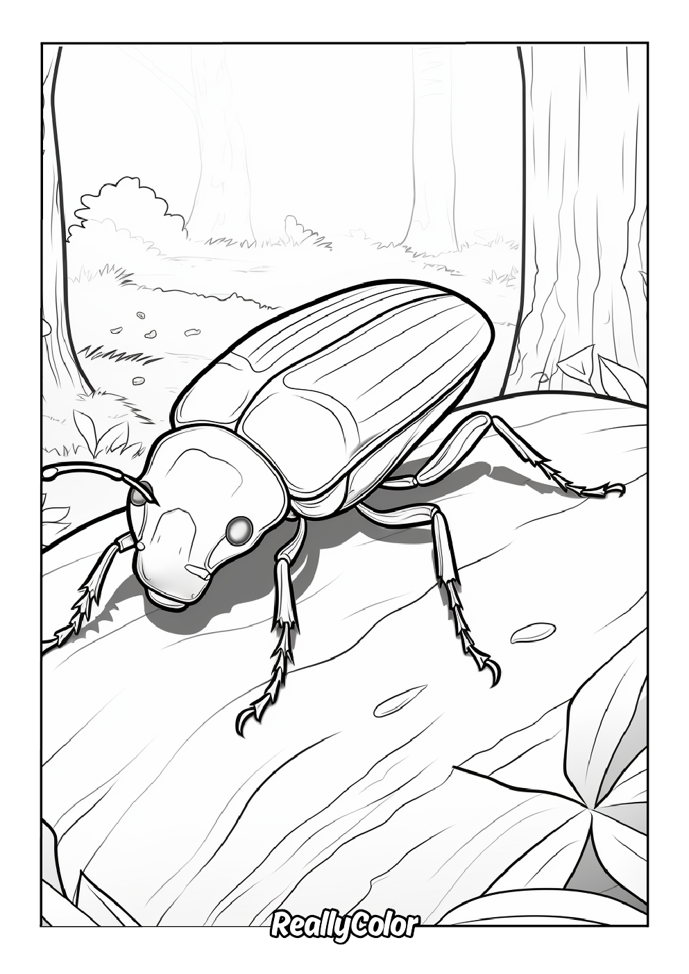 Beetle picture to color