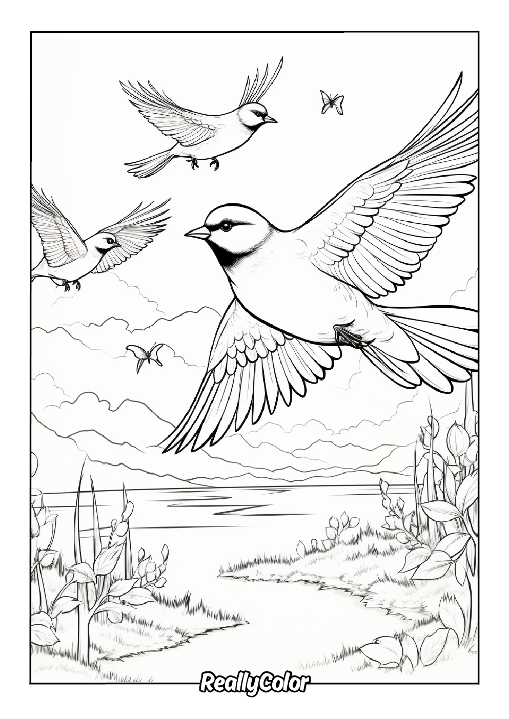 Birds flying coloring page for adults