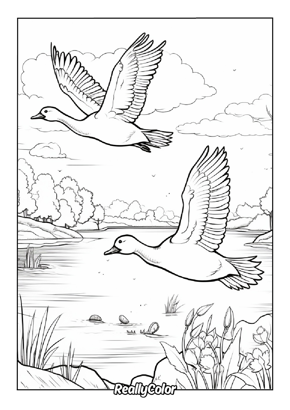 Birds flying in front of a beautiful landscape