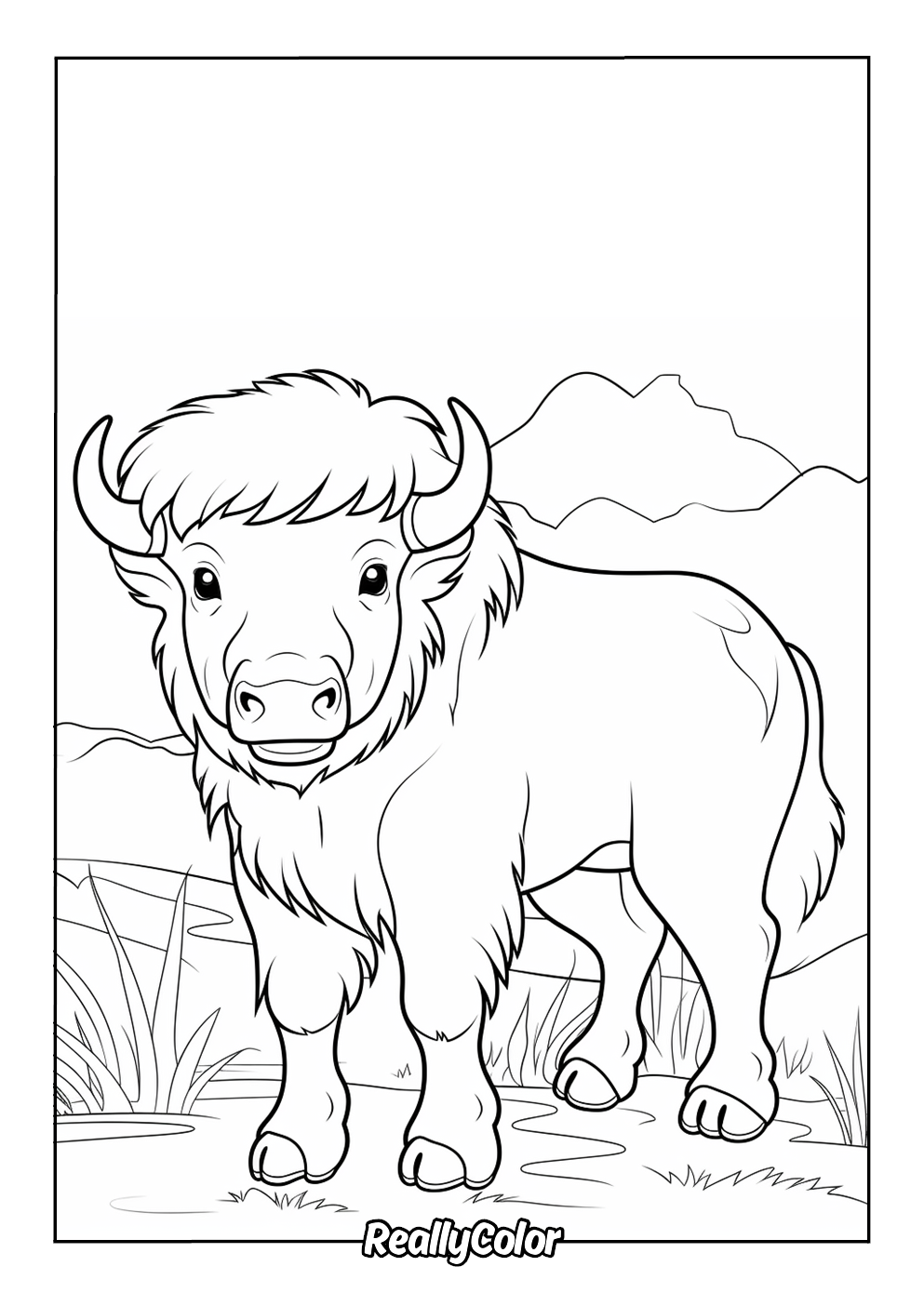Bison coloring page