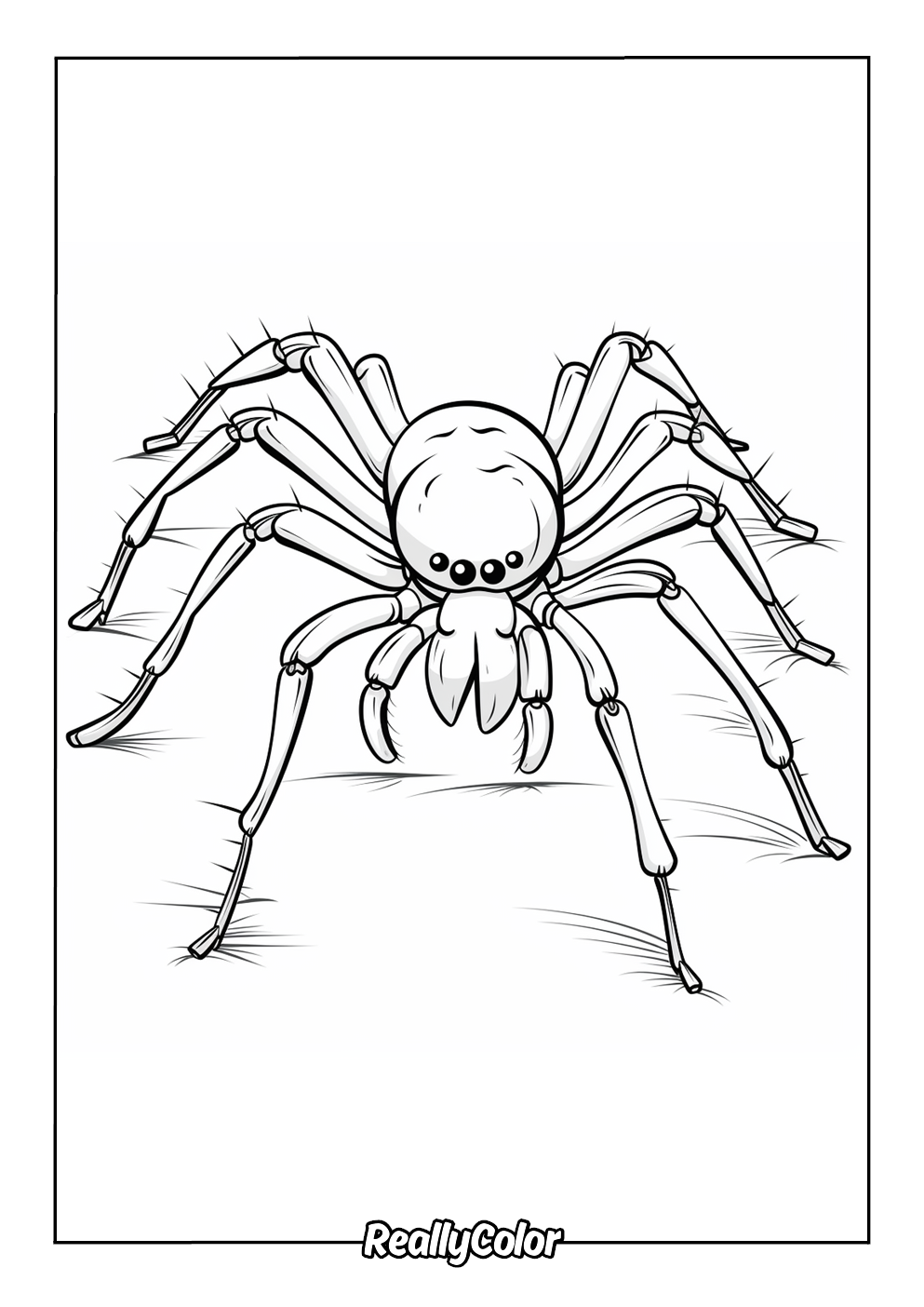 Black widow spider coloring page