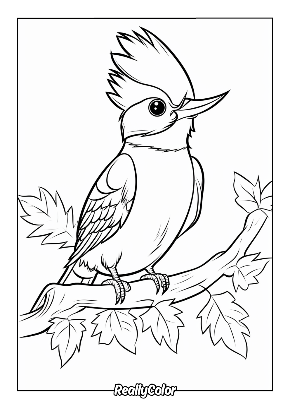 Blue jay coloring page for kids