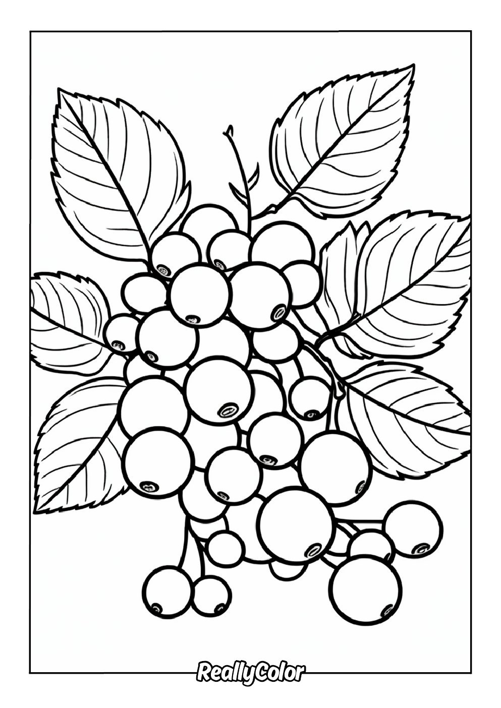 Blueberries easy to color