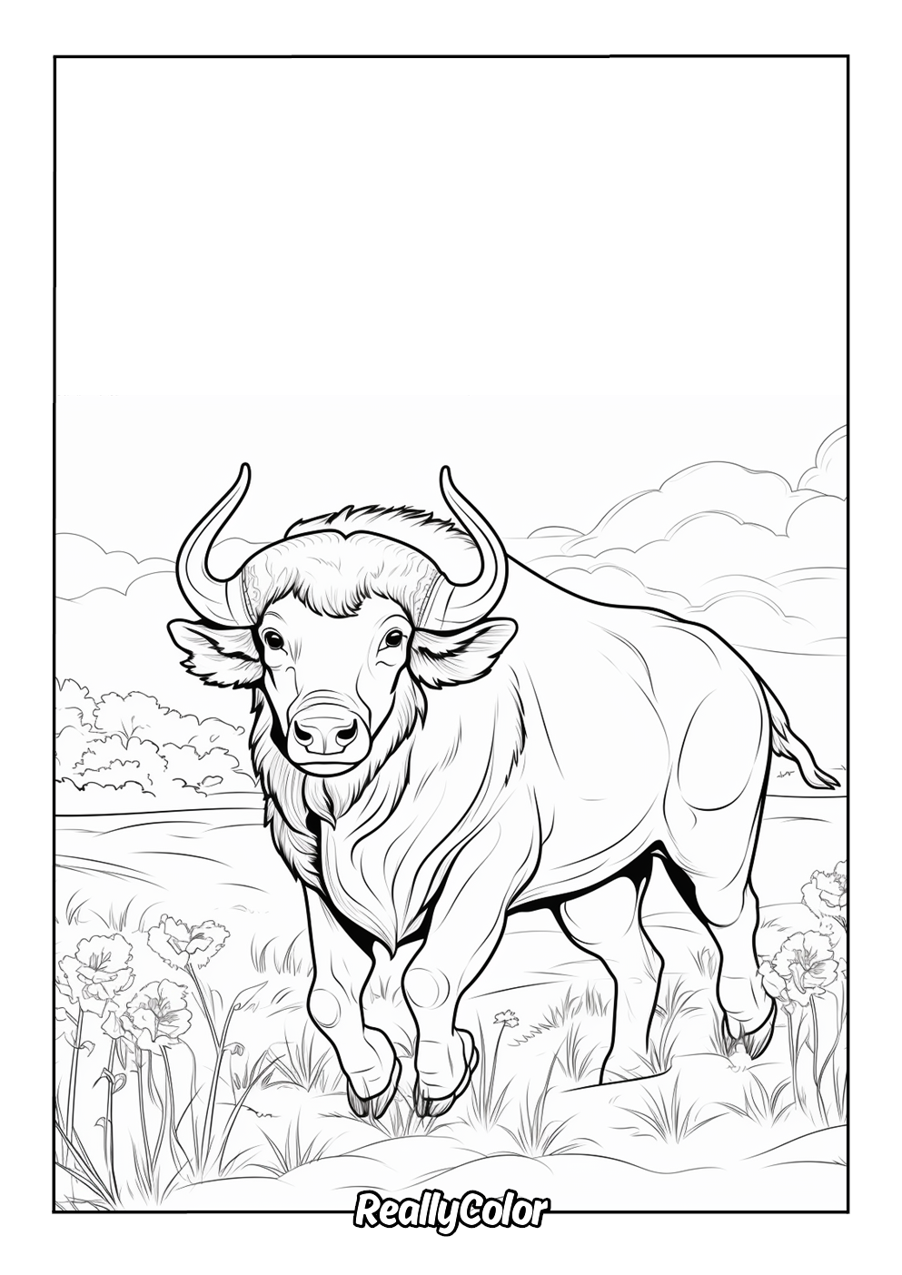 Buffalo color page
