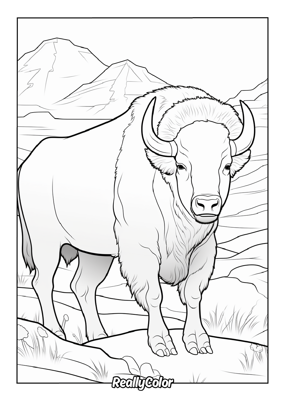 Buffalo to color