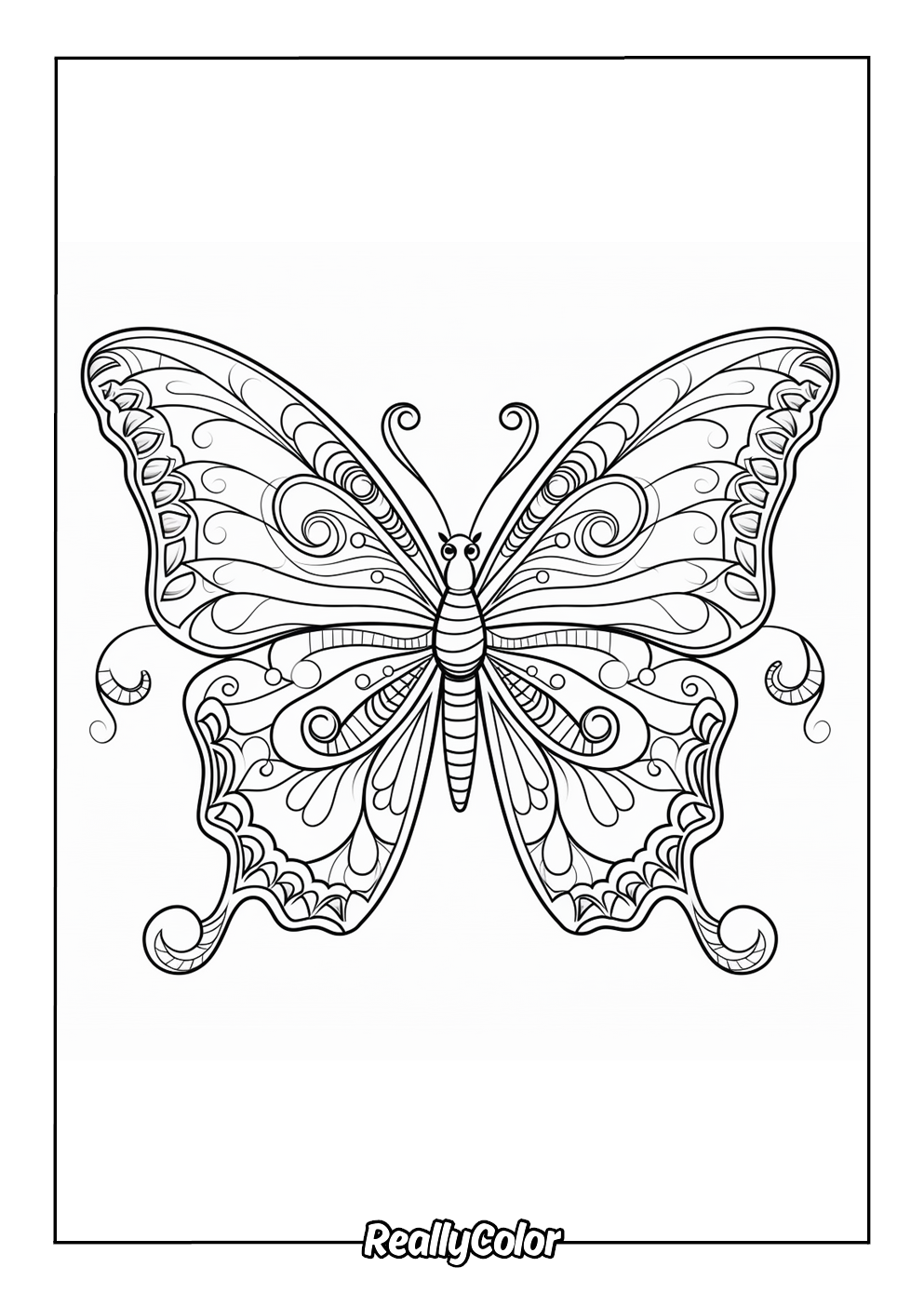 Butterfly mandala coloring page