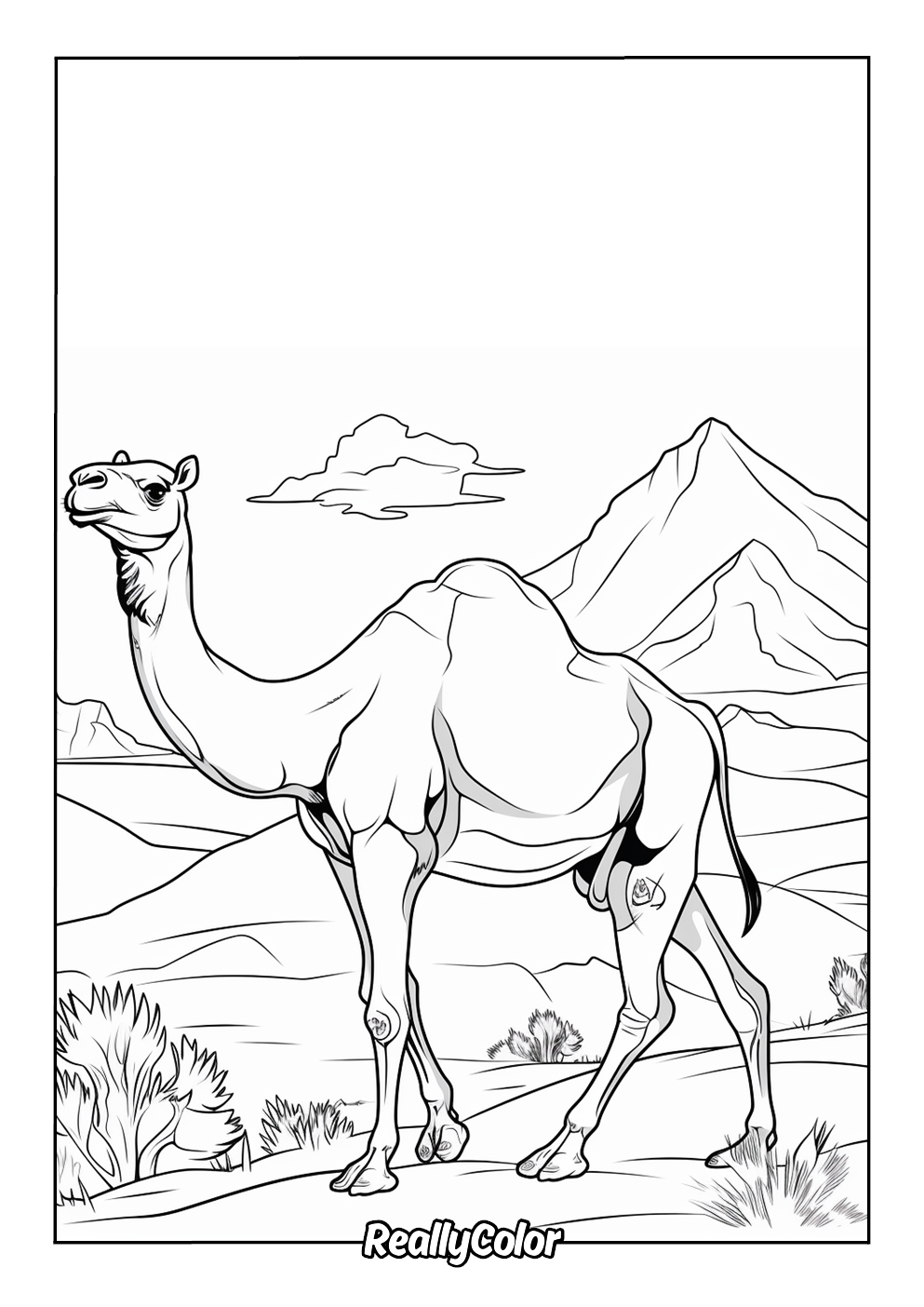 Camel printable coloring page