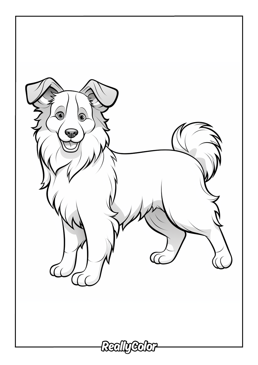 Cartoon border collie coloring page