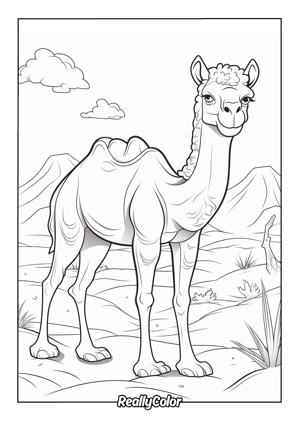 Cartoon camel color page