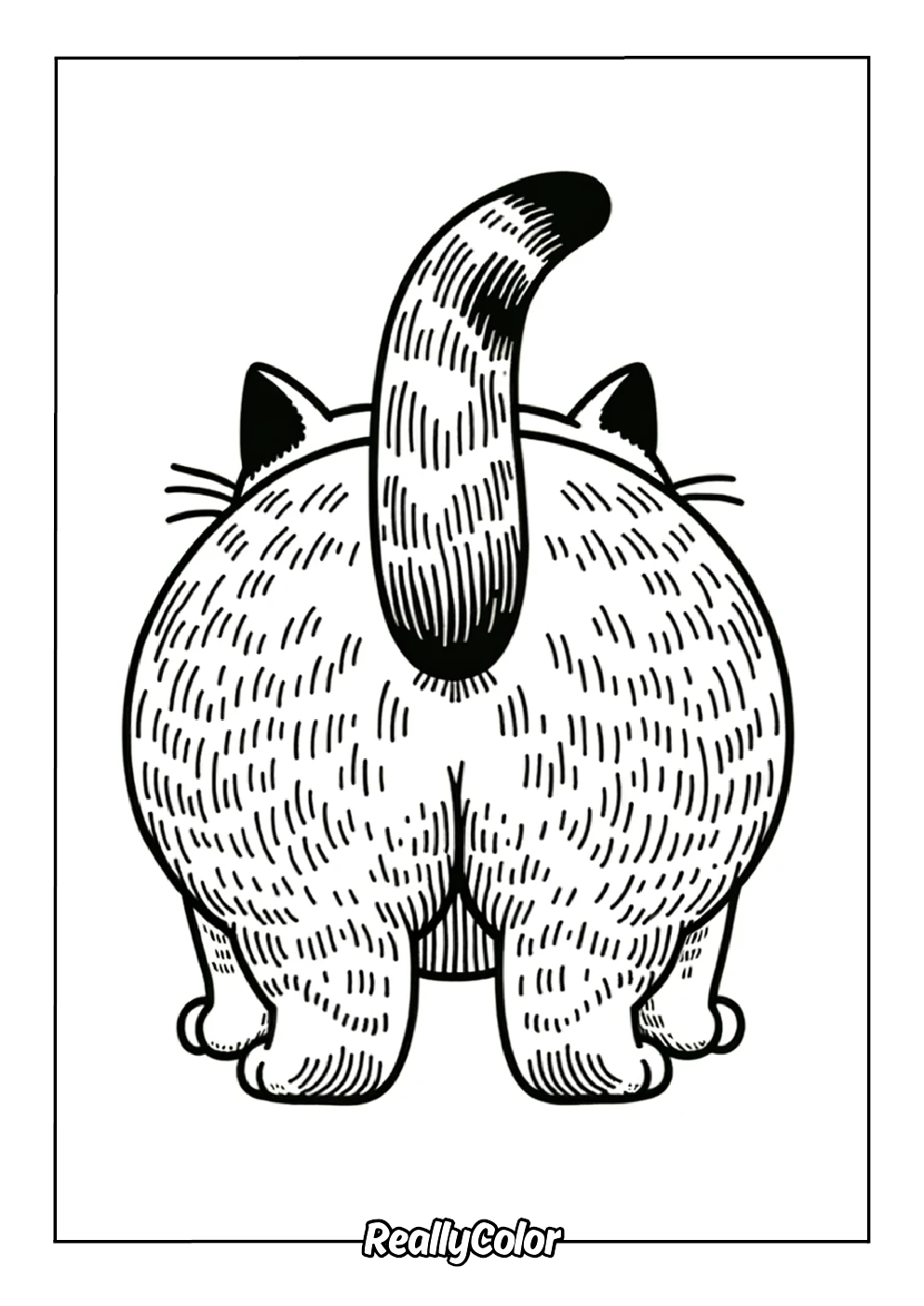 Cat butt color page