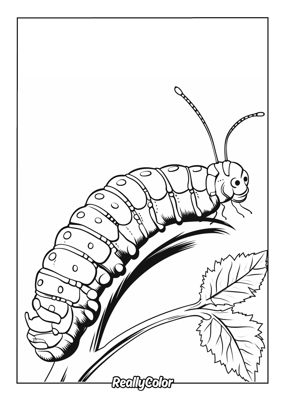 Caterpillar picture to color