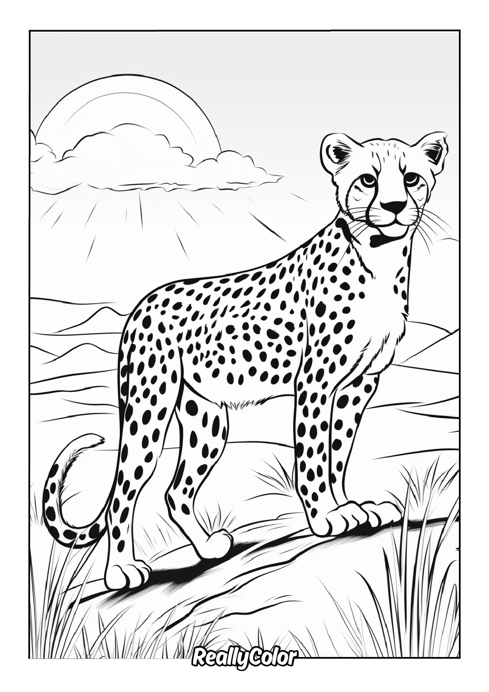 Cheetah color page