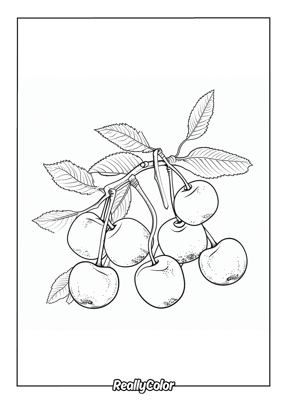 Cherry coloring page for kids