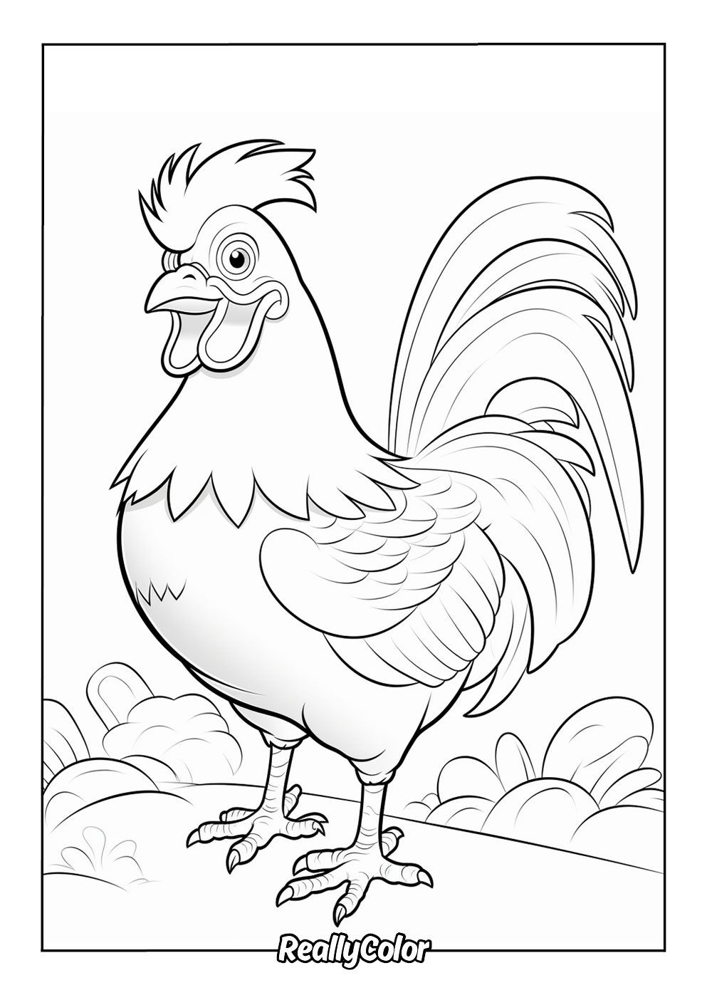 Chicken color page