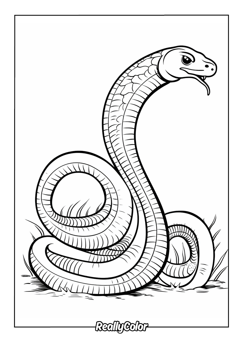 Cobra snake coloring page