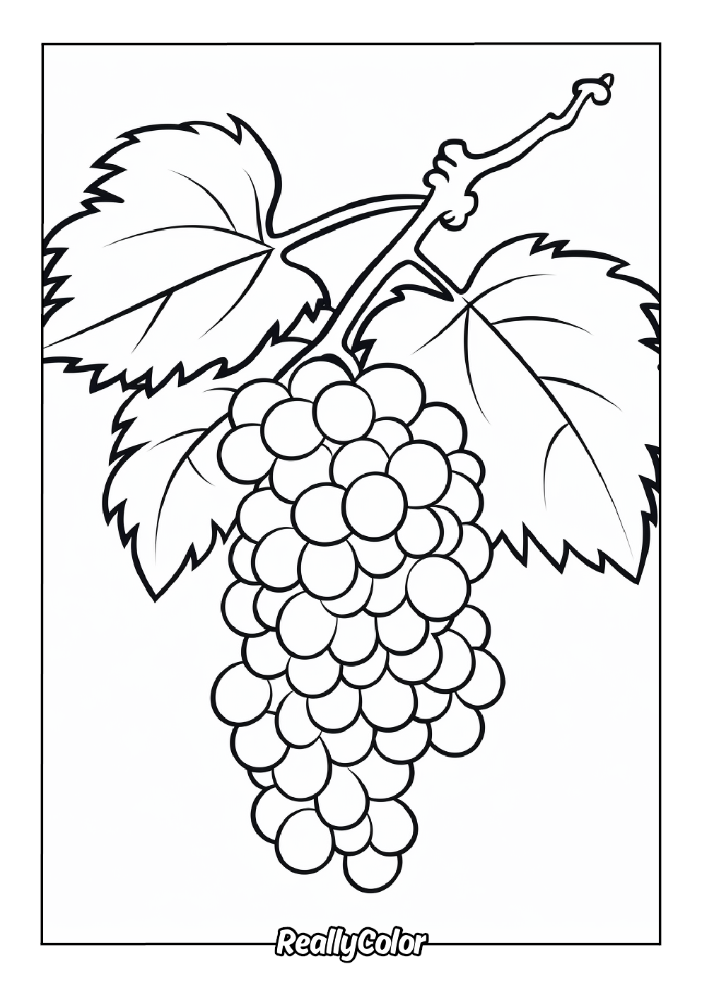 Color page of grapes fruit